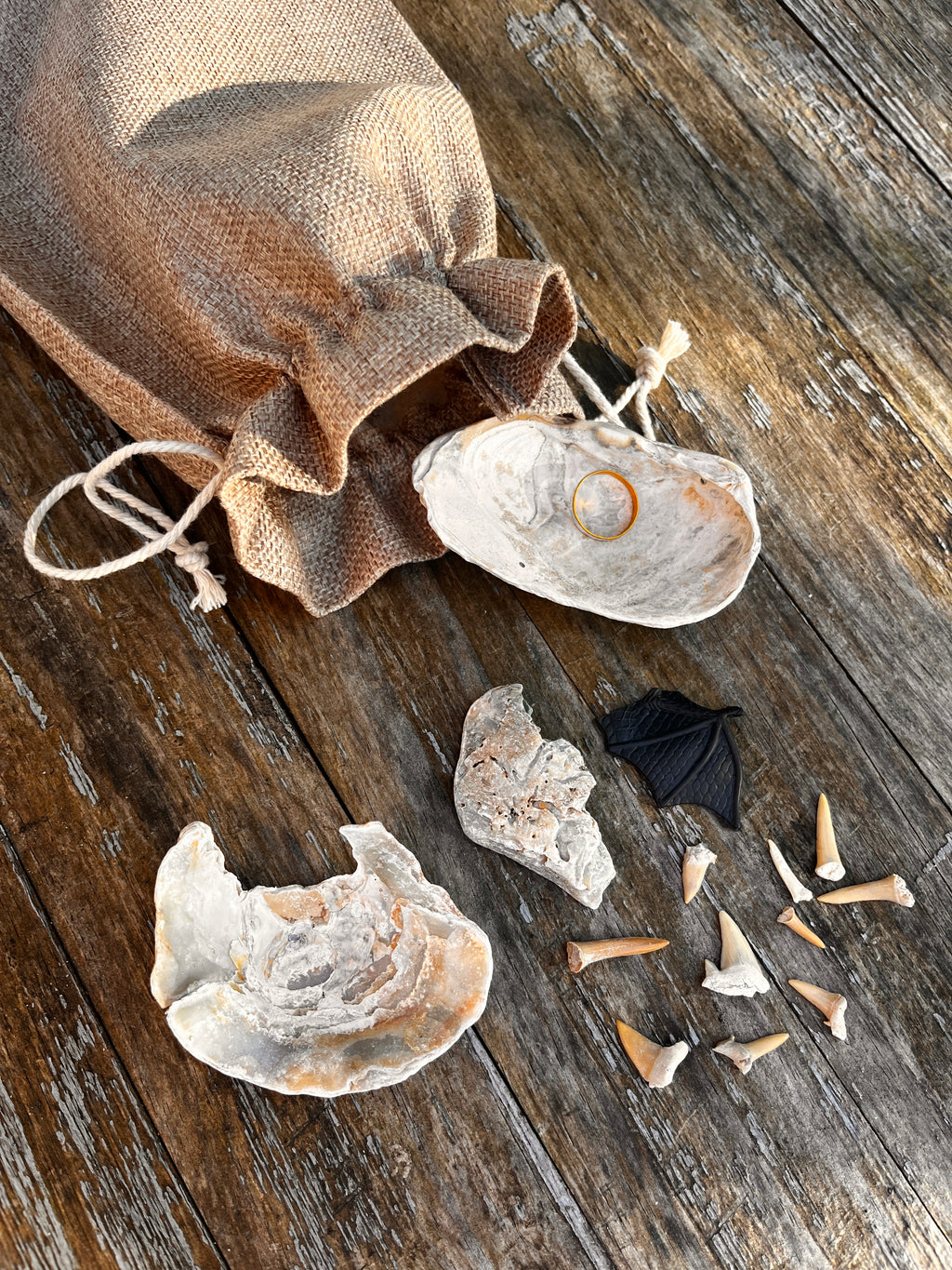 The LitWits Kit for THE HOBBIT